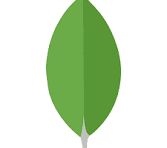 MongoDB technology